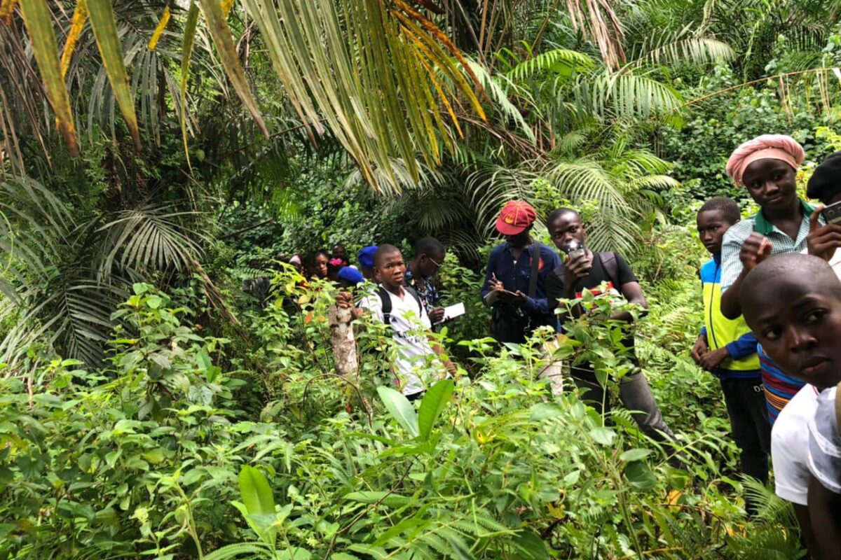 A group of young people in the forest in Kenema district, Sierra Leone. Image courtesy Sierra Leone Environment Matters.