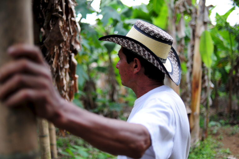 A coffee farmer in Colombia.