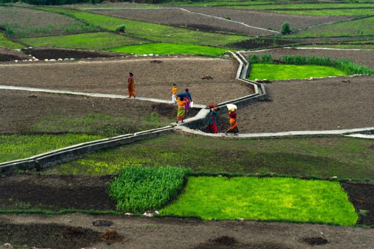 Farming in Uttarakhand.