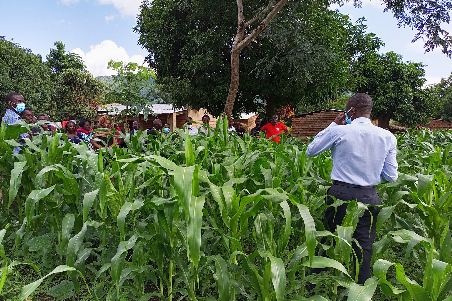 Experts recommend using Integrated Pest Management (IPM) strategies during a field visit in Rhumi District, Malawi.