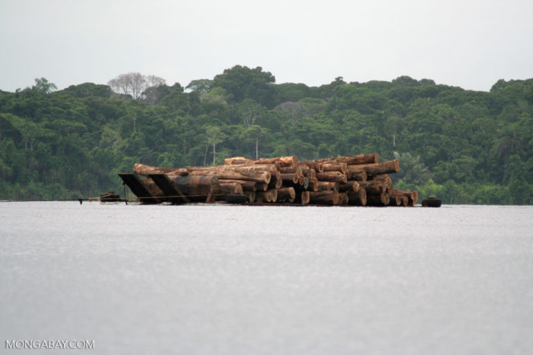 Rainforest timber on a barge in Gabon. Photo credit: Rhett A. Butler / Mongabay