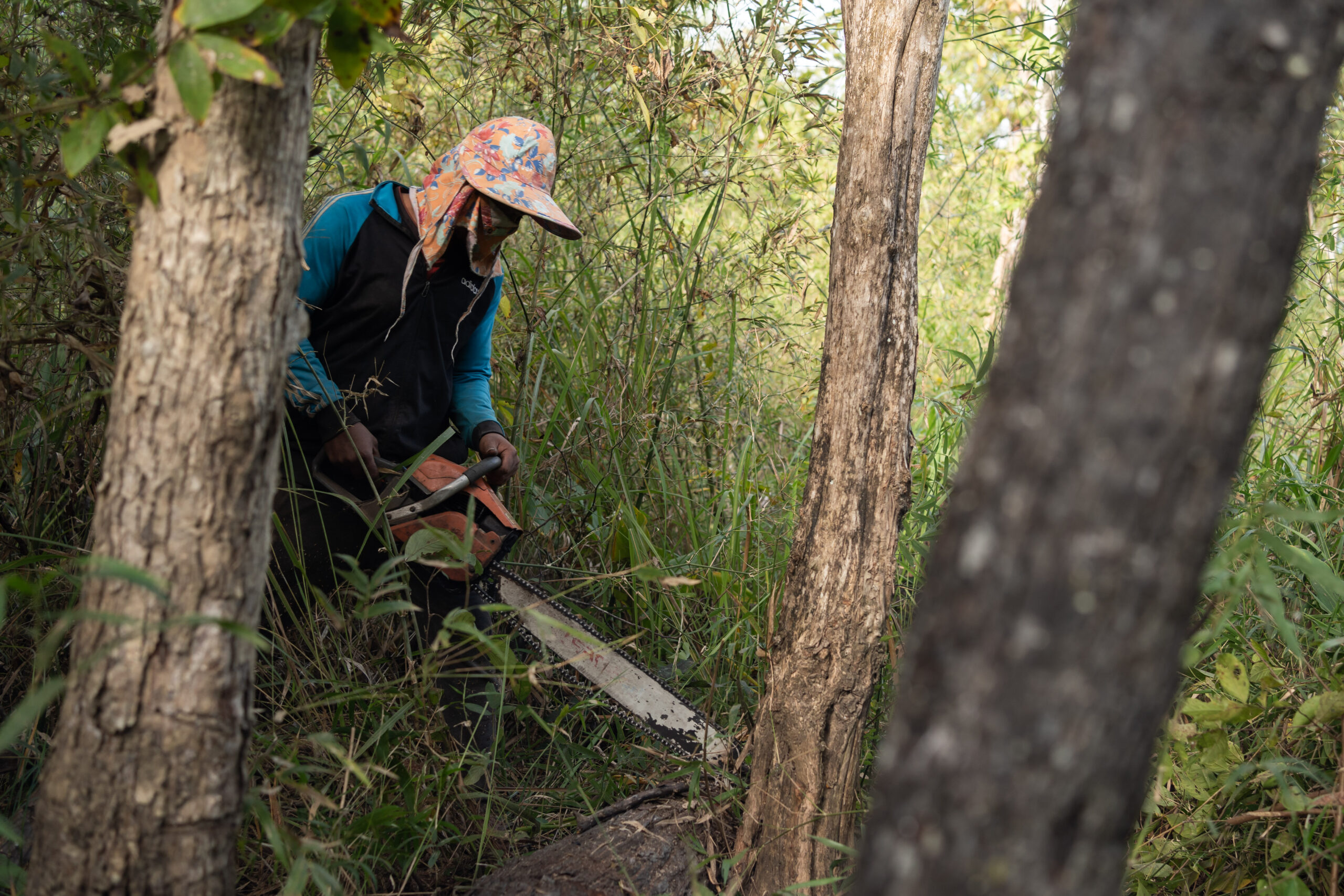 Mongabay reporters joined Saroeun and Sovann into the Central Cardamoms National Park, where they have been illegally logging to fuel the garment industry for three years. Credit: Andy Ball/Mongabay.