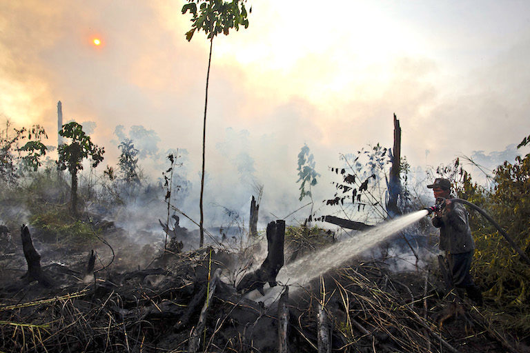 Smoke rising from smoldering peatland in PT Raja Garuda Mas Sejati. Photo courtesy of Greenpeace Media Library.