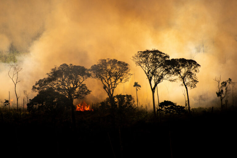 Fire in an area newly deforested in Brazil.