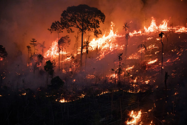 Fire and deforestation in the Amacro region (the states of Amazonas, Acre and Rondônia) in the Brazilian Amazon in late August 2022. Photo © Nilmar Lage / Greenpeace