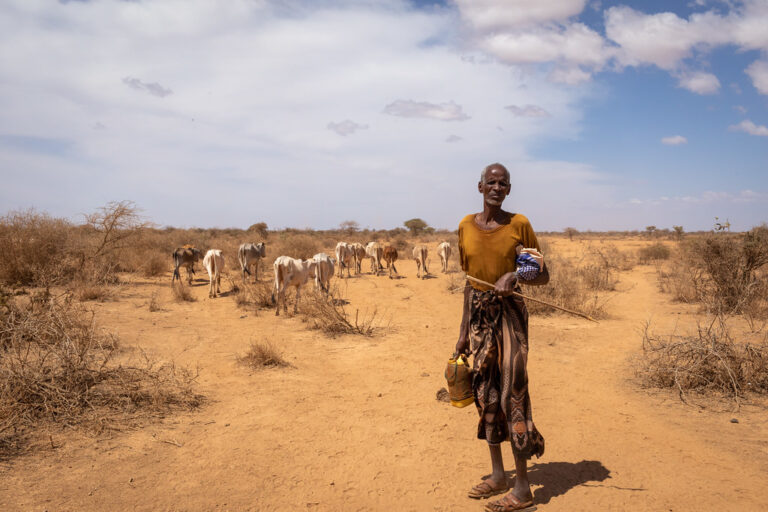 Hussen Ahmed, herding cattle in Ethiopia's Somali region. He is among the millions grappling with the consequences of drought across the Horn of Africa. Image by UNICEF Ethiopia/Mulugeta Ayene via Flickr (CC BY-NC-ND 2.0).