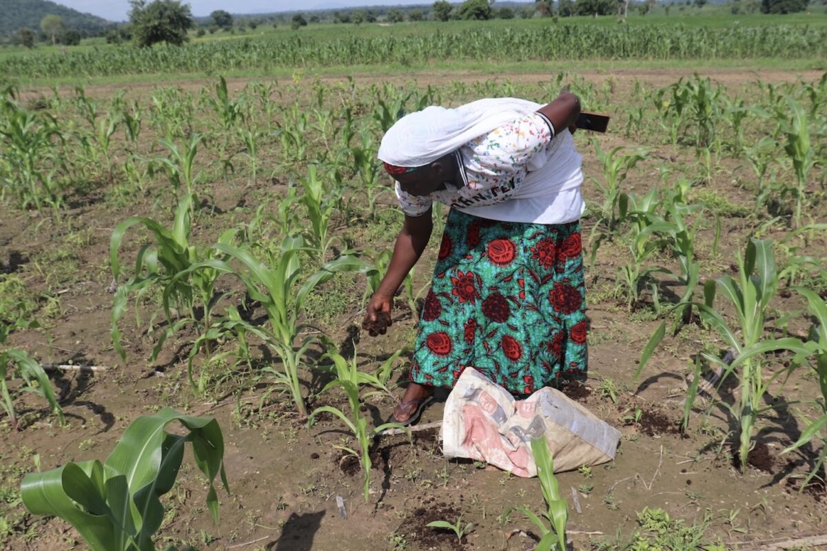 Women's cooperative farm in Dogba. Image by Leocadia Bongben for Mongabay.