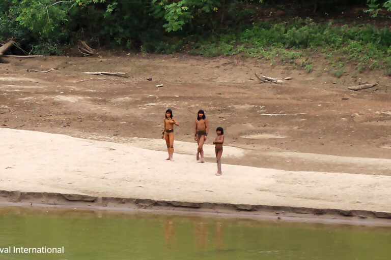 Isolated Indigenous Mashco Piro men and boys on a beach in the Peruvian Amazon. Image courtesy of Survival International.