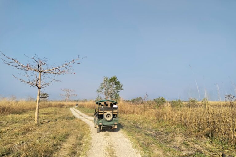 Chitwan safari