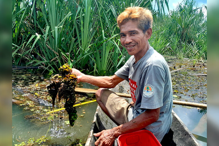 Nasidi holds up a water lettuce plant, which is often found in the Lenggang River.