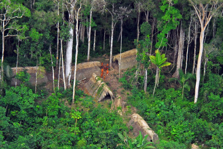 An uncontacted Indigenous tribe in the Brazilian state of Acre.