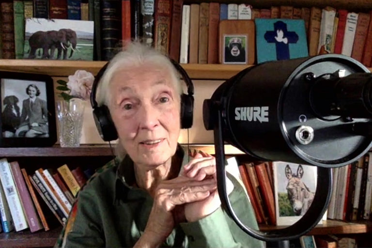 Jane Goodall interviewing Mongabay founder and CEO Rhett Ayers Butler for her Hopecast podcast.