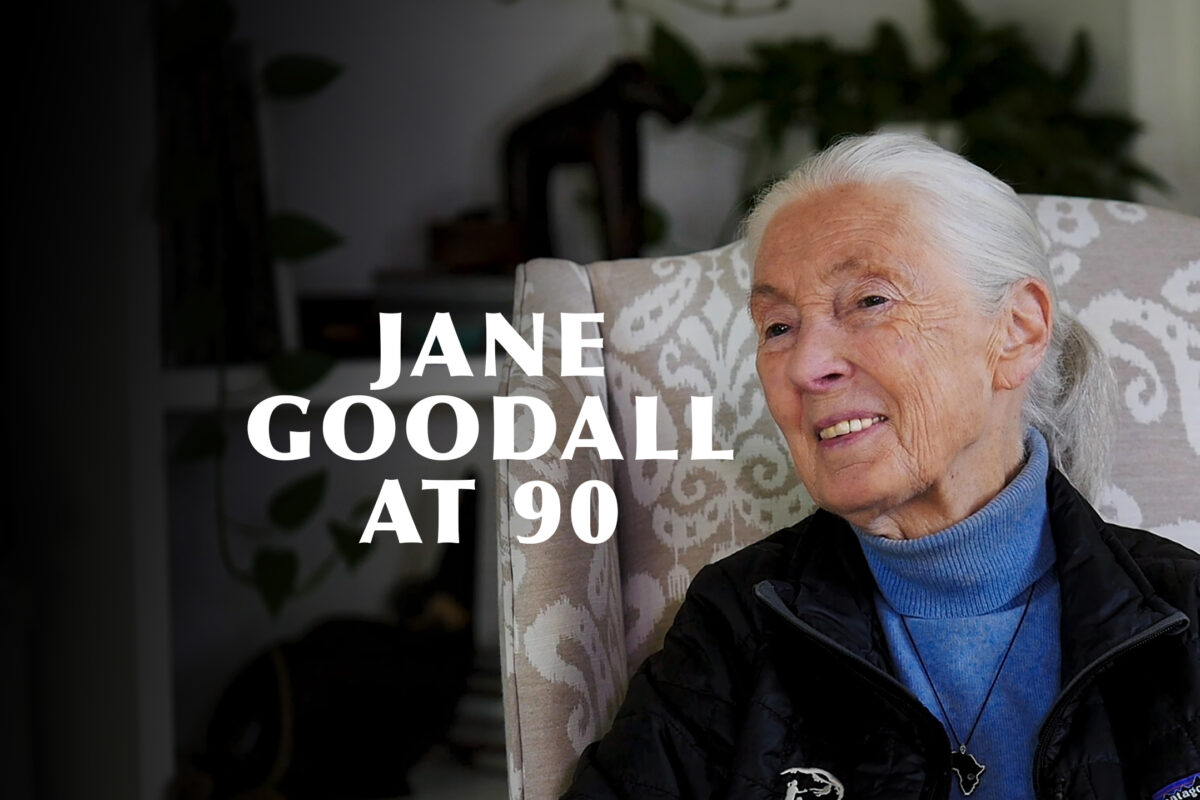 jane goodall at 90