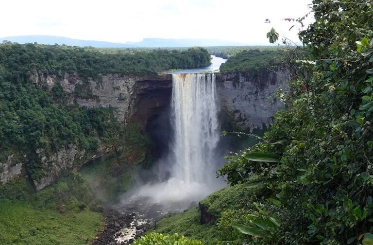 Kaieteur Falls on the Potaro River in Kaieteur National Park in central Essequibo Territory, Guyana. Image courtesy of Rainforest Foundation US.