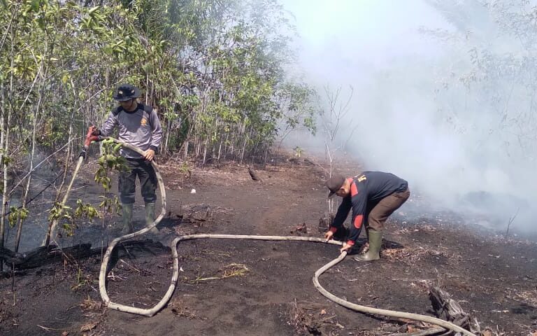 The effect is most dangerous in peatland areas like Riau province and southern Borneo, where out-of-control wildfires cause environmental destruction, excess deaths and economic losses in the billions of dollars.