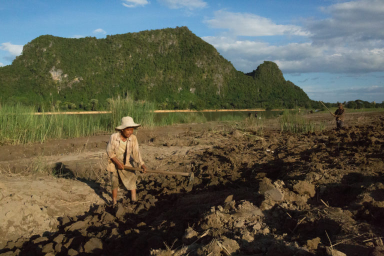 Farming in Myanmar