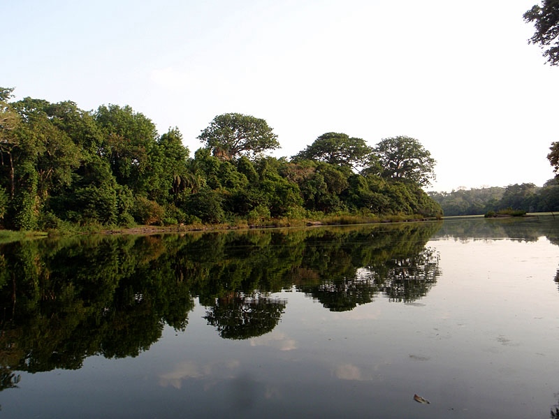 Tranquil scene of trees in Kenema district, Sierra Leone, reflected in a still body of water. Image courtesy Sierra Leone Environment Matters.