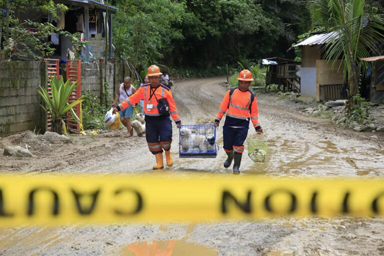 A rescue team rescuing pets after the aftermath of the landslide.