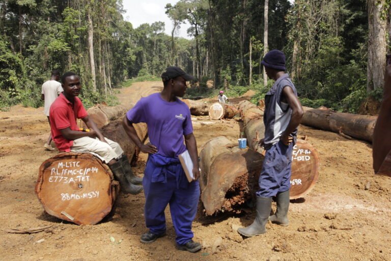 Three forestry workers standing in front of logs that have been skidded out to a logging road in River Cess County, Liberia in 2013. Image by Flore de Preneuf/PROFOR via Flickr (CC BY-NC 2.0)