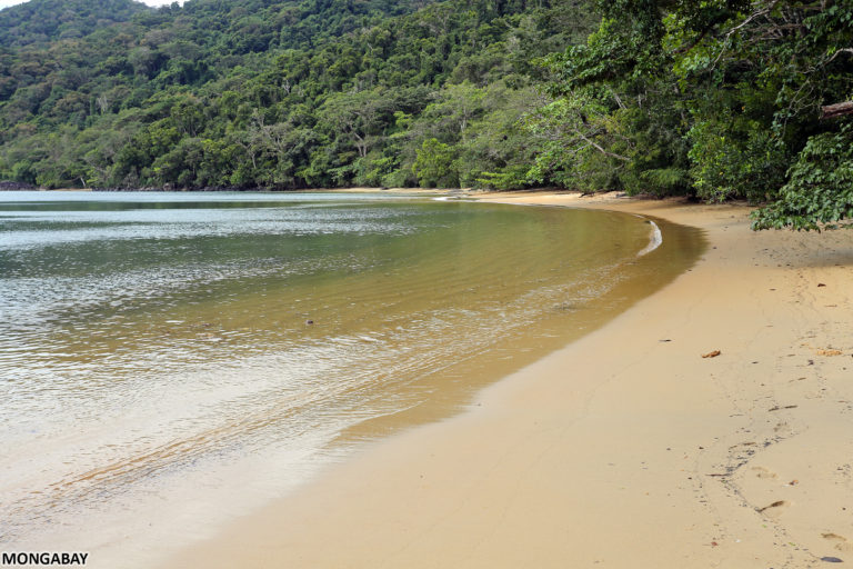 Beach on Nosy Mangabe, Madagascar. Photo by Rhett A. Butler