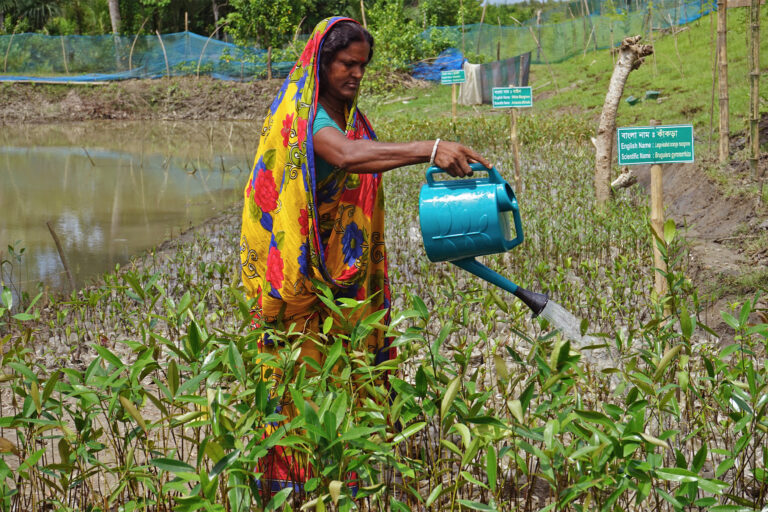 Entrepreneur Namita Mondal is watering mangrove saplings at her nursery.