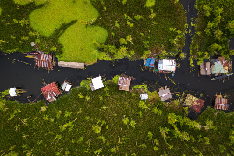 The Manobo Houses float along the waterways of Lake Panlabuhan in the Agusan Marsh.