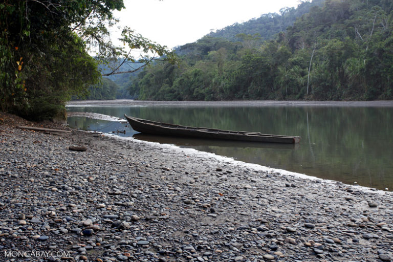 River in the Western Amazon.