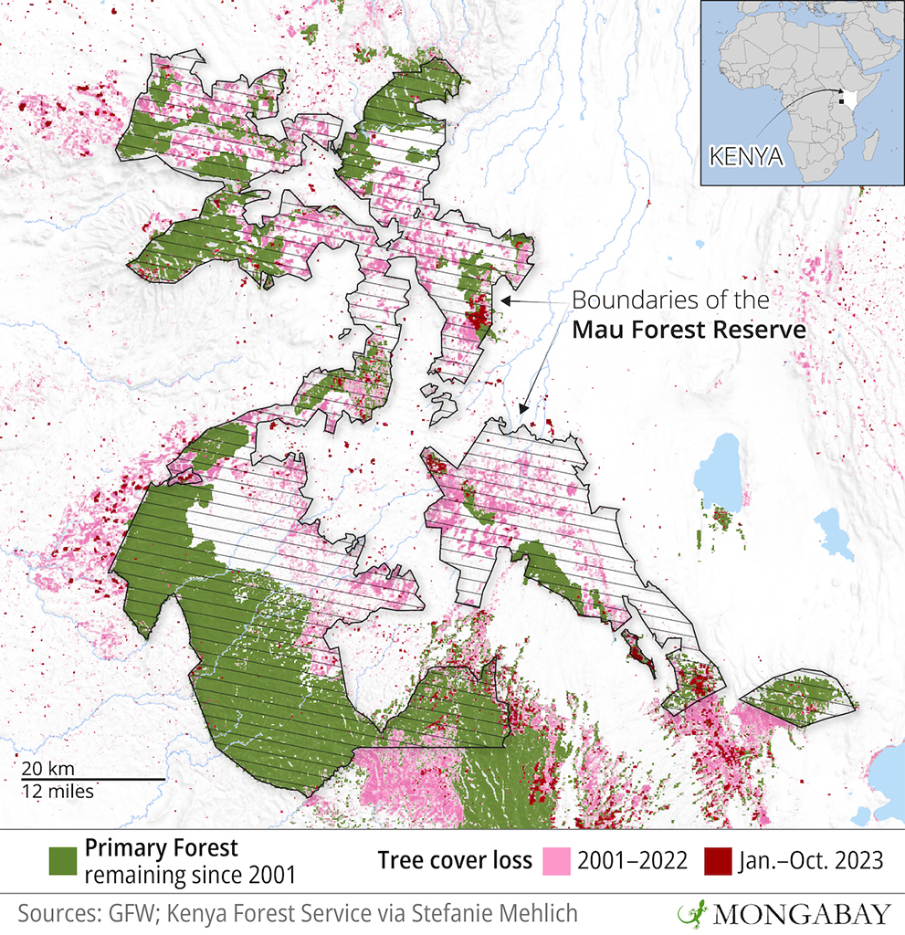 Data and satellite imagery for 2023 show deforestation is continuing in the Mau Forest protected area complex, though Maasai Mau is not amongst the worst affected areas.