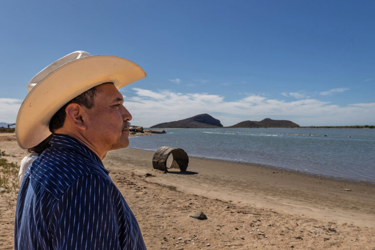 Guasimas Bay has been contaminated by agrochemicals and waste that is released from shrimp farms not far from the coast.