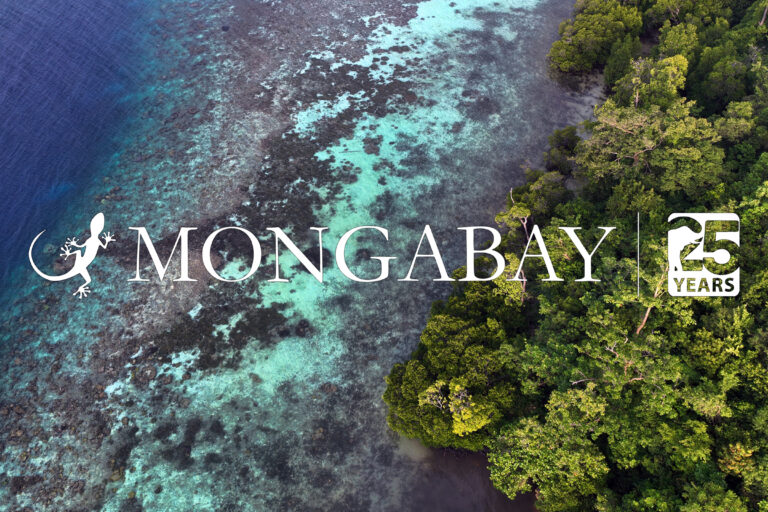 Mongabay logo