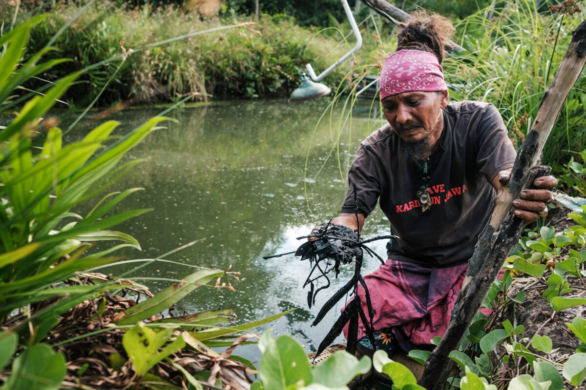 Java activists risk jail for exposing shrimp farm pollution crisis.