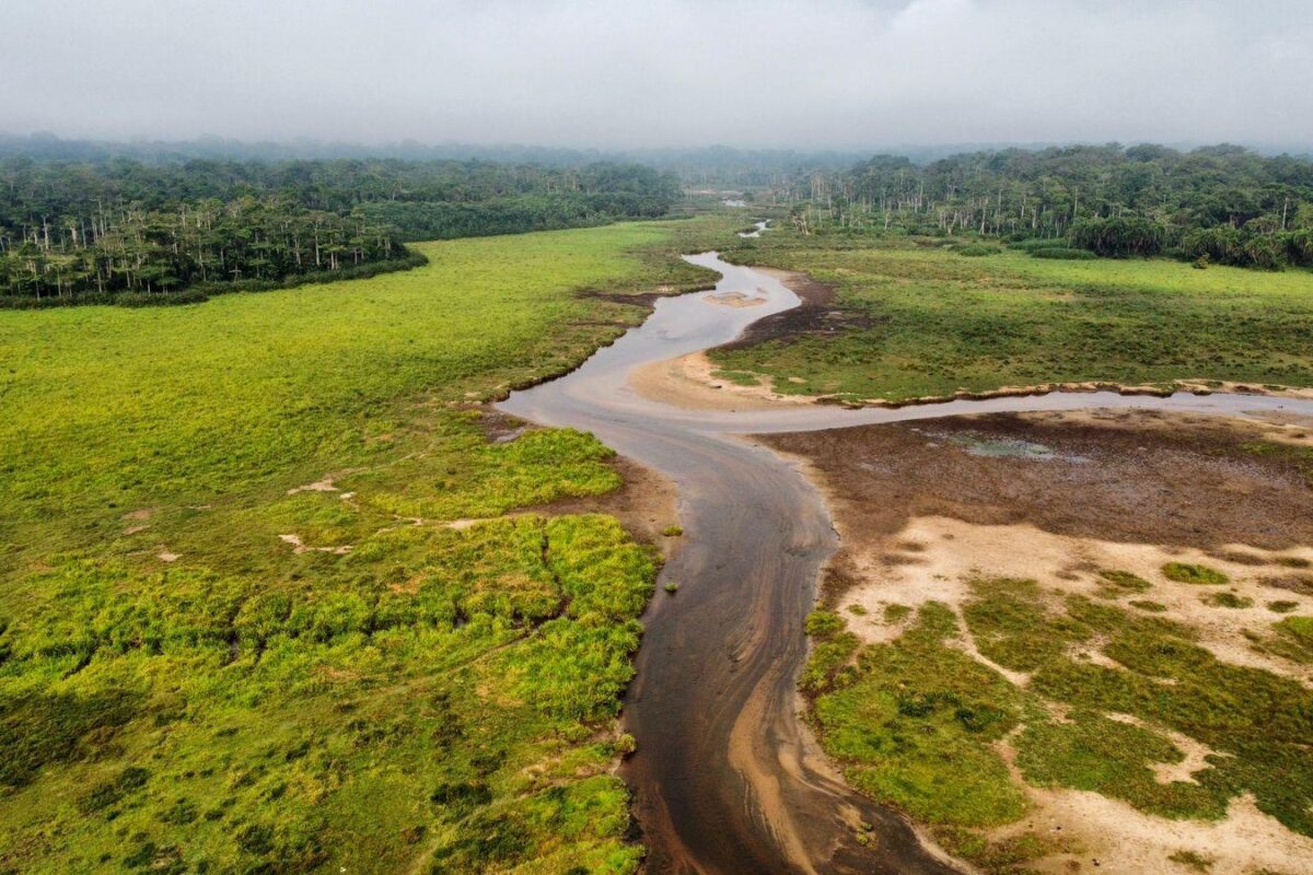 Aerial view of Moungi Bai, Odzala-Kokou National Park, Republic of Congo. Image courtesy Gwilli Gibbon/African Parks.