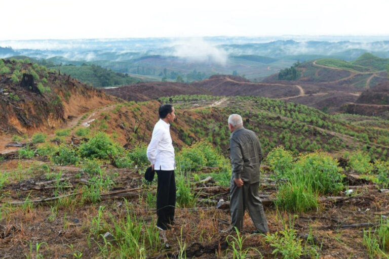 Jokowi visiting the location of Indonesia's new capital Nusantara with the Governor of East Kalimantan in 2019.