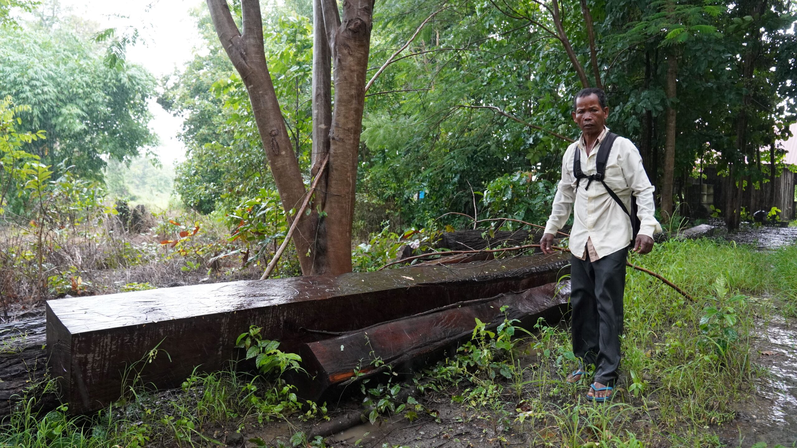 Ouk Mao showed reporters timber cut from the Phnom Chum Rok Sat community forest by loggers working for Lin Vatey. Image by Nehru Pry / Mongabay