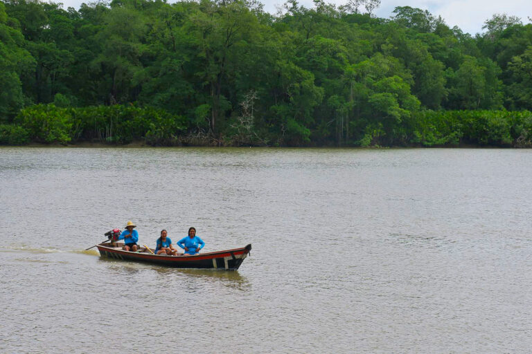 Women in the São João da Ponta Extractive Reserve fish for crabs on the Mocajuba River in the Amazonian mangroves of northern Brazil.