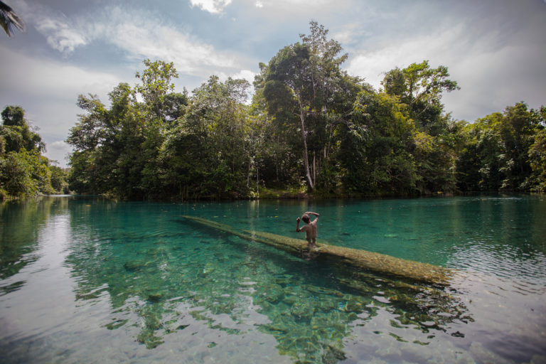 A Papuan boy in the Blue River (Kali Biru) of the Knasaimos landscape in Teminabuan, South Sorong, West Papua. Credit line: © Jurnasyanto Sukarno / Greenpeace