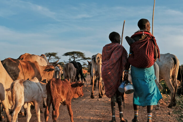 Samburu pastoralists walking with their herd.