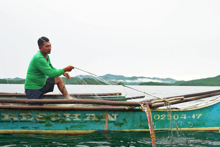 A fisher uses his fishing net along the mangrove waters.