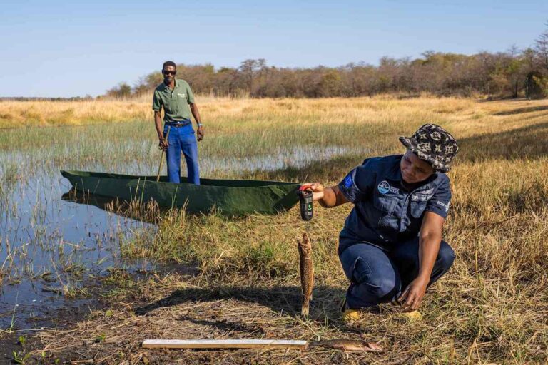 In community fisheries reserves, fish scouts or guards patrol the rivers to remove illegal nets and enforce local rules. Fish monitors record catches that are taken legally to track the state of their local fish stocks. Photo courtesy of Marcus Westberg.