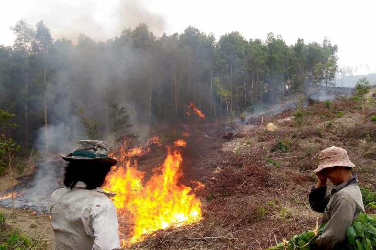 Farmers burning cleared forest land after harvesting. Photo courtesy of Buu Nguyen.