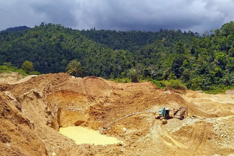 Gold mining erodes land cover in Pahuwato.