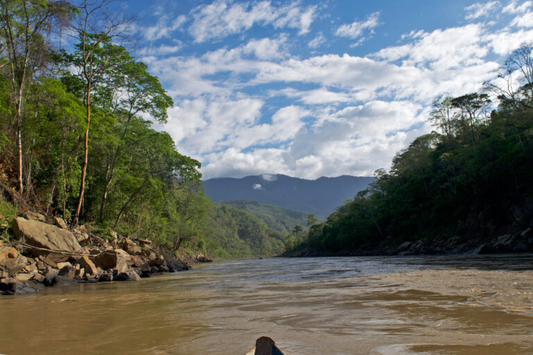 The Bolivian Amazon has been affected by illegal mining and oil incursion.