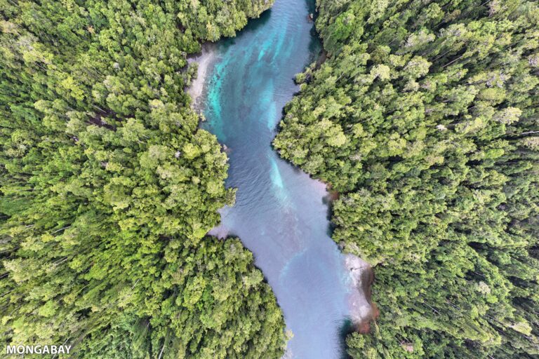 Wallace's Passage between Bam and Weigeo islands in Raja Ampat, West Papua, Indonesia. Photo credit: Rhett Ayers Butler.