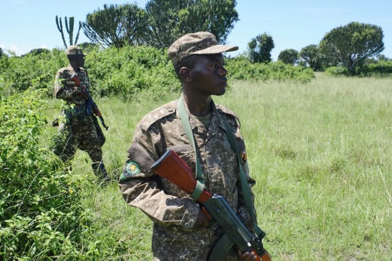 A ranger with the Uganda Wildlife Authority on patrol in the Queen Elizabeth National Park in November 2023. Image by Ashoka Mukpo for Mongabay.