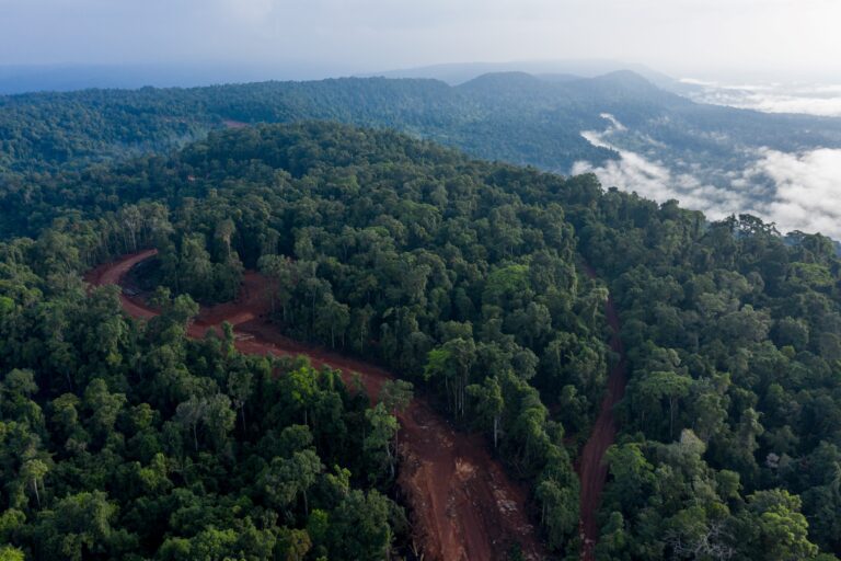 The access road to the Stung Tatai Leu hydropower dam cuts through forest in the Central Cardamoms National Park, Koh Kong province, Cambodia in April 2022