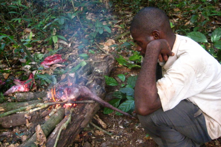 Man roasting bushmeat. Image by Corinne Staley via Flickr (BY-NC-2.0)