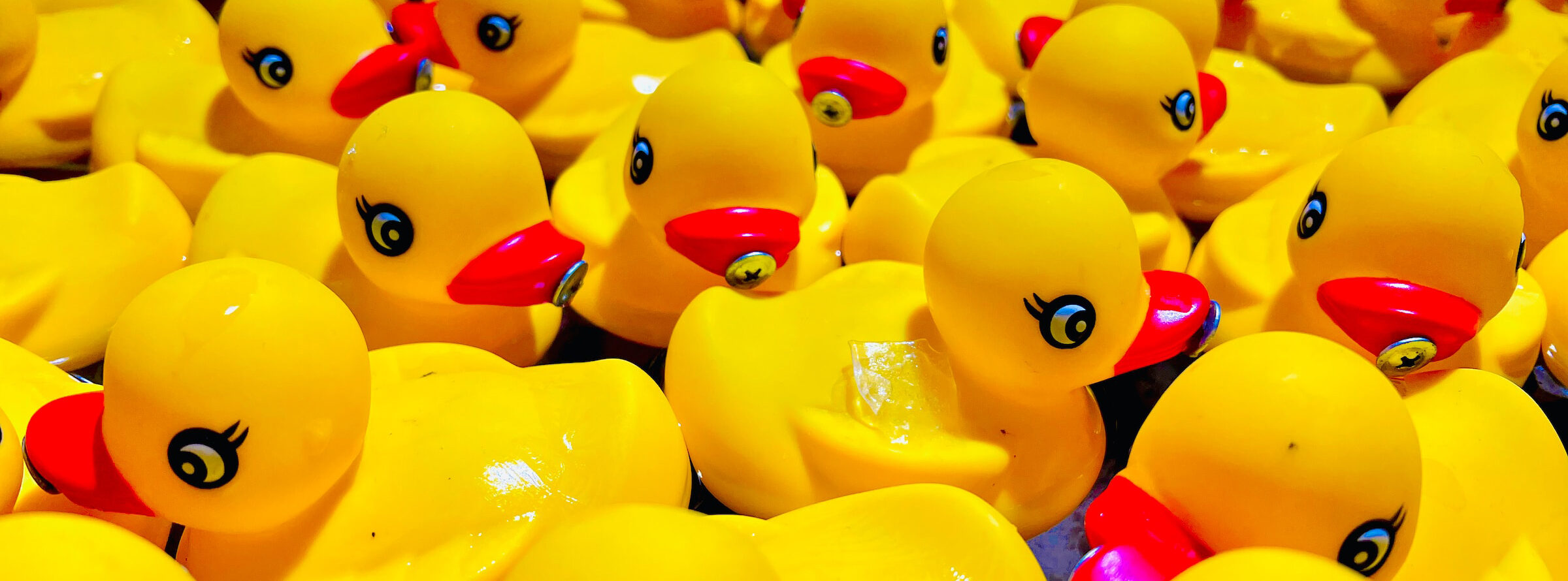 Rubber duckies