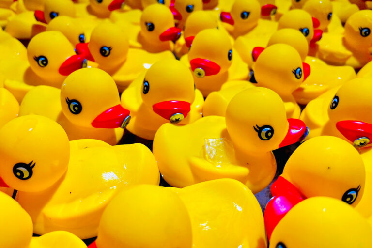 Rubber duckies