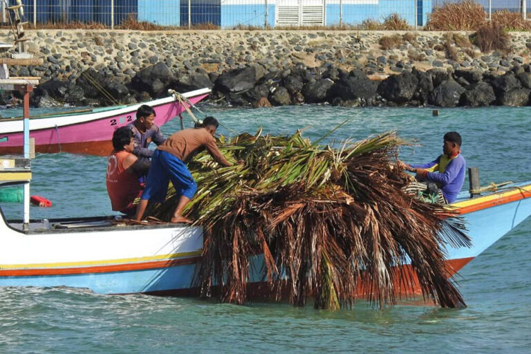 For generations here, fishers like Mukhlis have used wood to build fish-aggregating devices, known locally as rumpon, which are moored offshore to attract schools of fish.