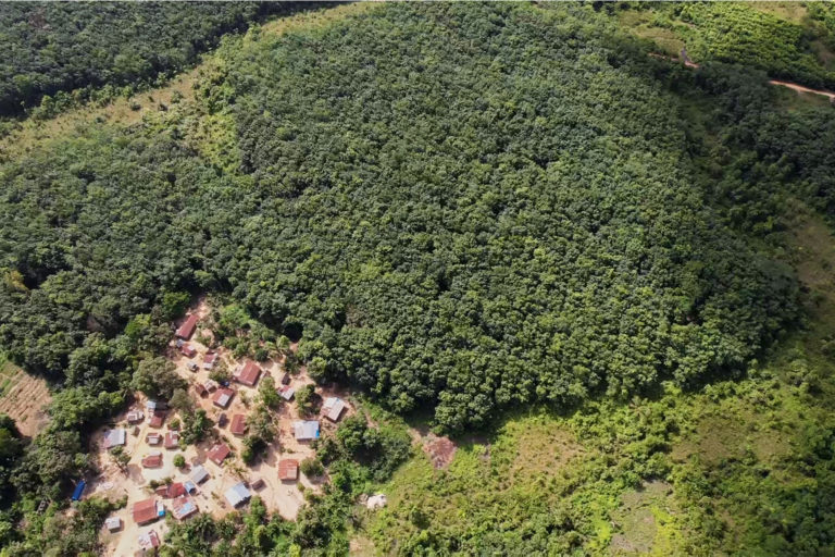 Aerial view of rust-red roofs of the town of Jorkporlorsue in the bottom left, surrounded dark green crowns of rubber trees owned by Socfin's Salala plantation in the rest of the frame. Image by Ashoka Mukpo for Mongabay.